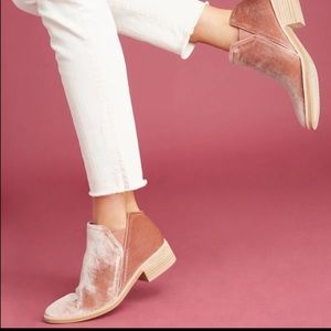 Pink Velvet Dolce Vita Booties